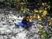 20041101_hautebeaume_00_mathieu_4