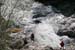 20041101_hautebeaume_06_hubert_04