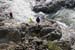 20041101_hautebeaume_06_manu_1