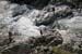 20041101_hautebeaume_06_team