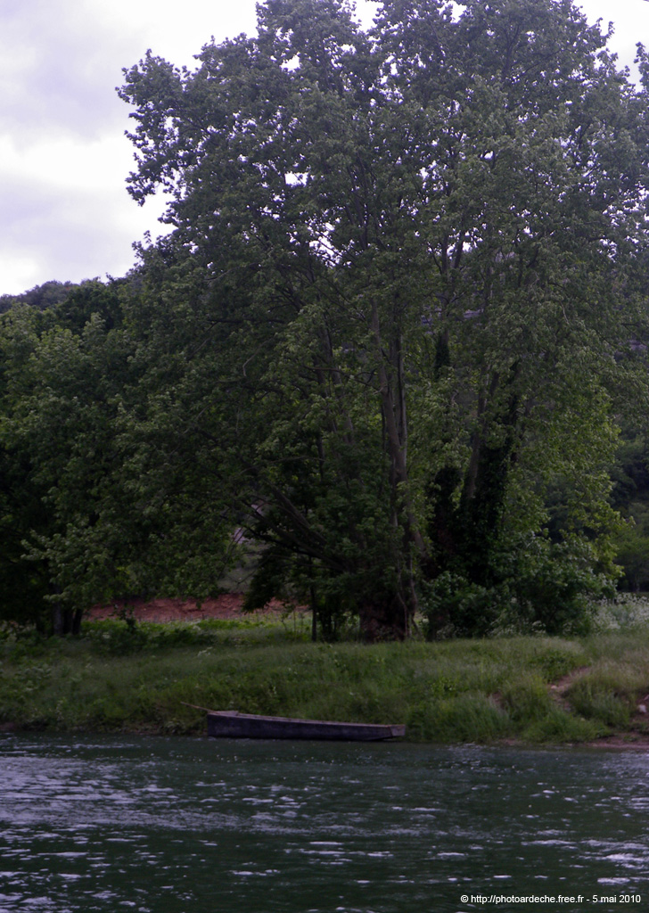 20100515_057