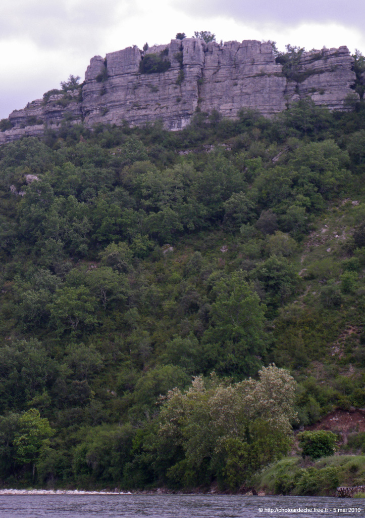 20100515_059