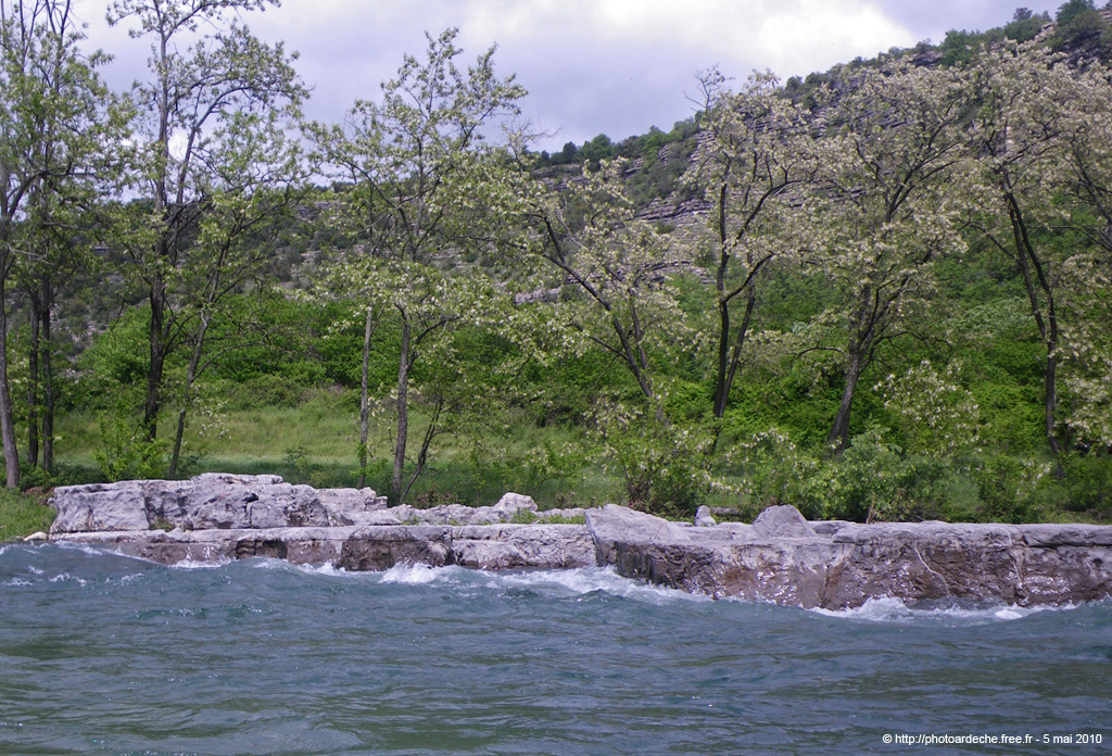20100515_080