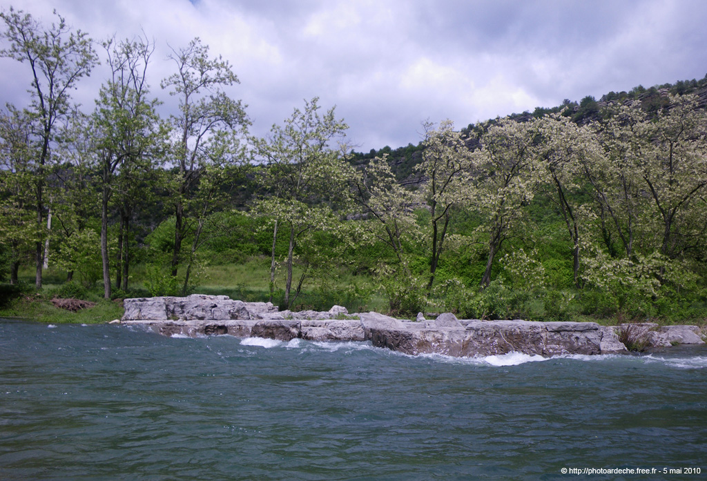 20100515_081