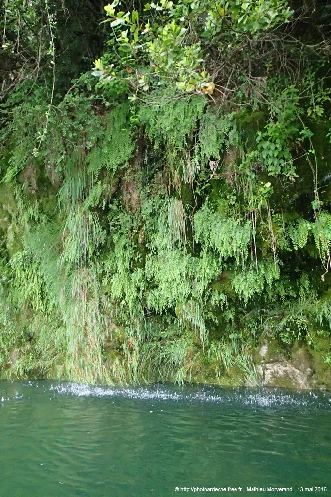 20160513_272