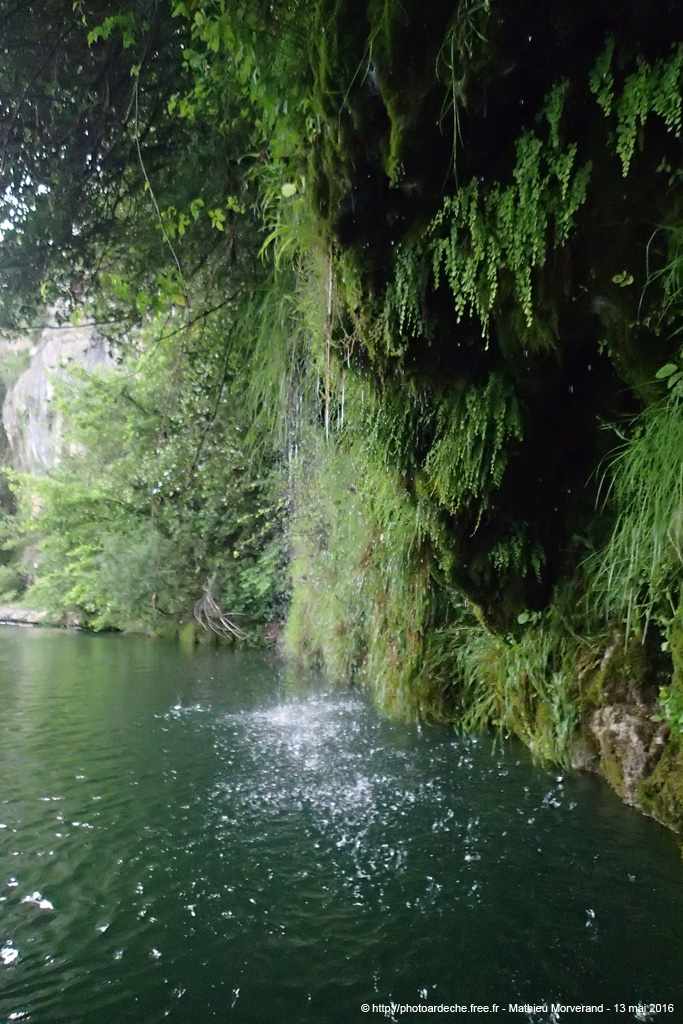 20160513_273