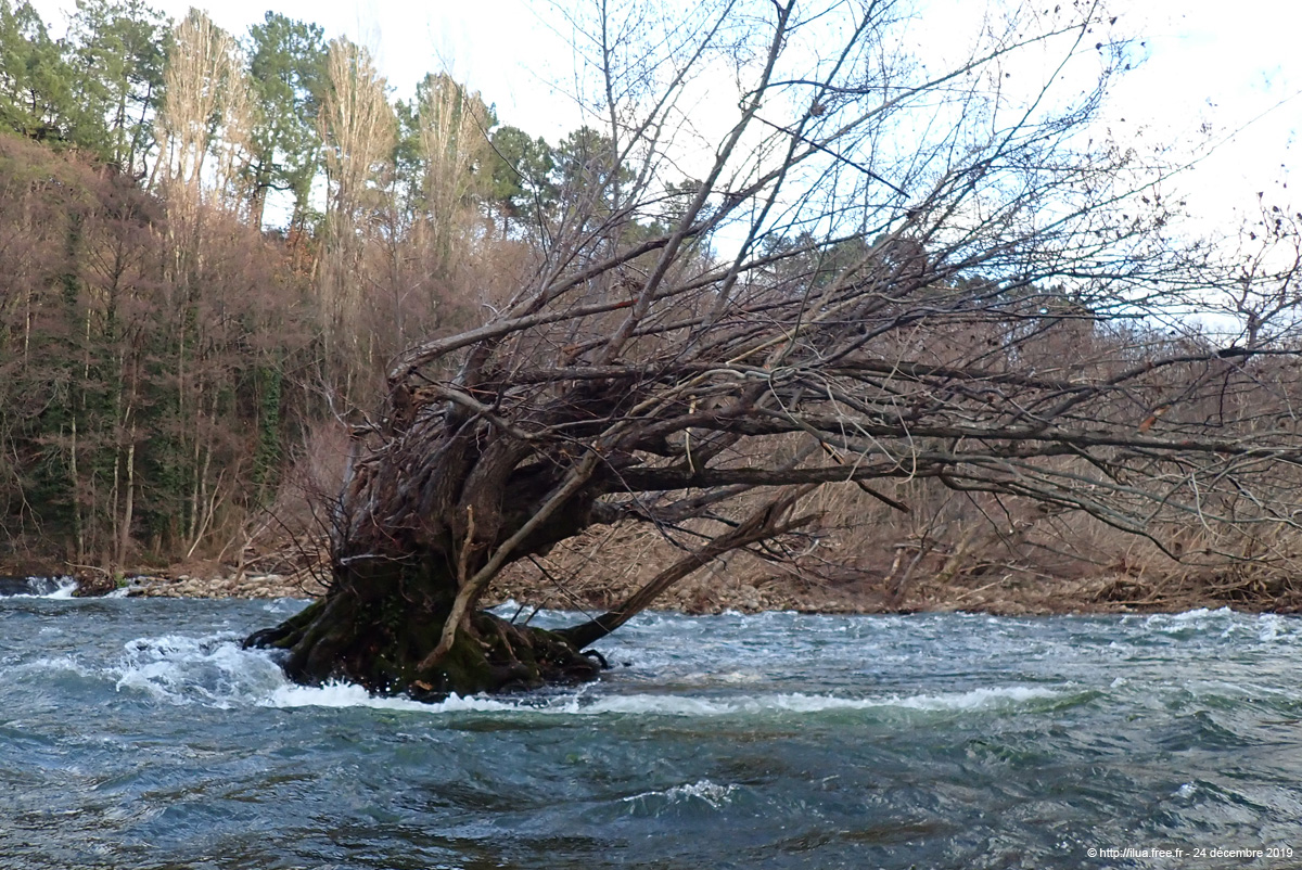20191224_096