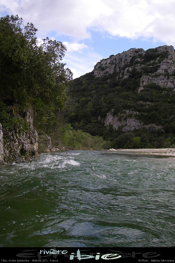 20080421ibie037