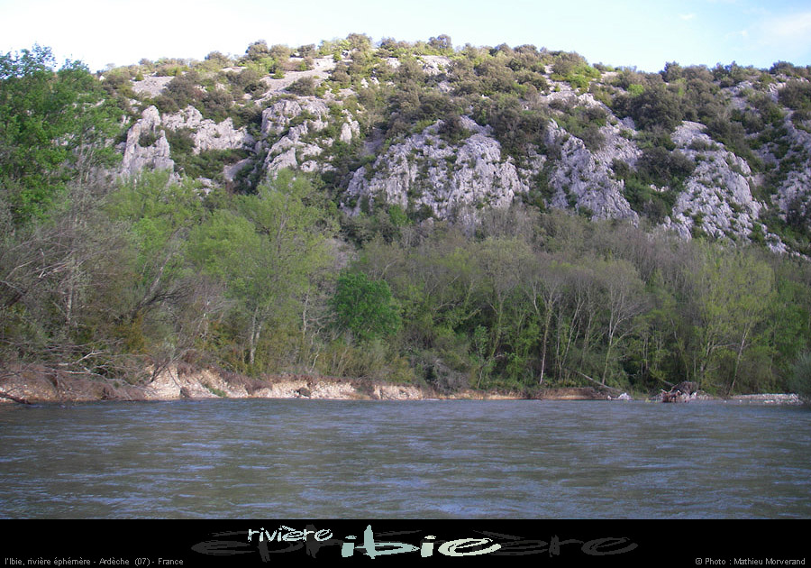 20080421ibie123