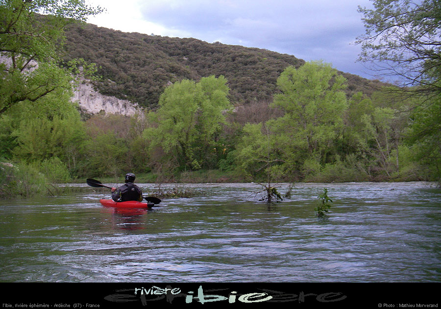 20080421ibie150