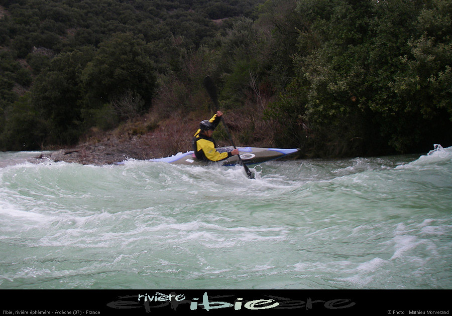 20090207_ibie05