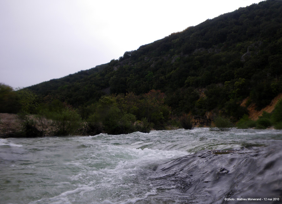 20100512_66