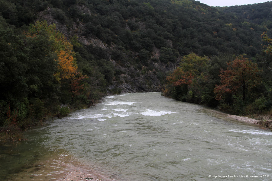 20111106_003