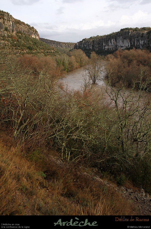20131225_crueardeche_confluenceligne2