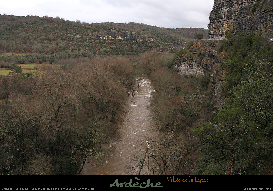 20131225_crueligne meandressvignevieille