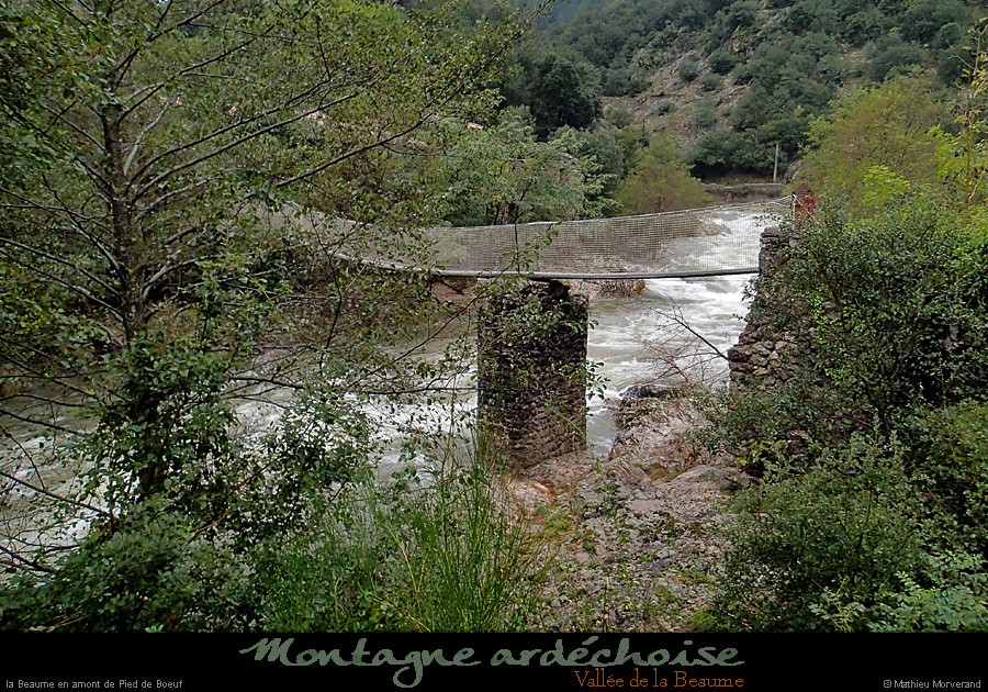 20141013_beaume_piedfrboeuf1_928