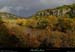 20151028_1418d