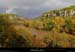 20151028_1419c