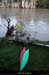 20131023_crue_amptbigournette2