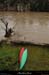 20131225_crueardechebigournette