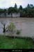 20141013_bigournette2_800
