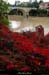 20131020_crue_avalptbigournette2