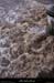 20140919_bigournettept06