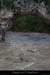 20081022_ptarc04