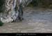 20081022_ptarc05