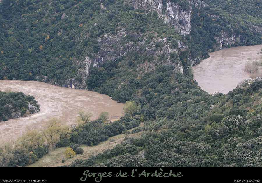 20081022_pasdumousse