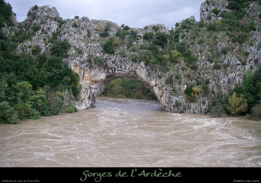 20081022_ptarc08