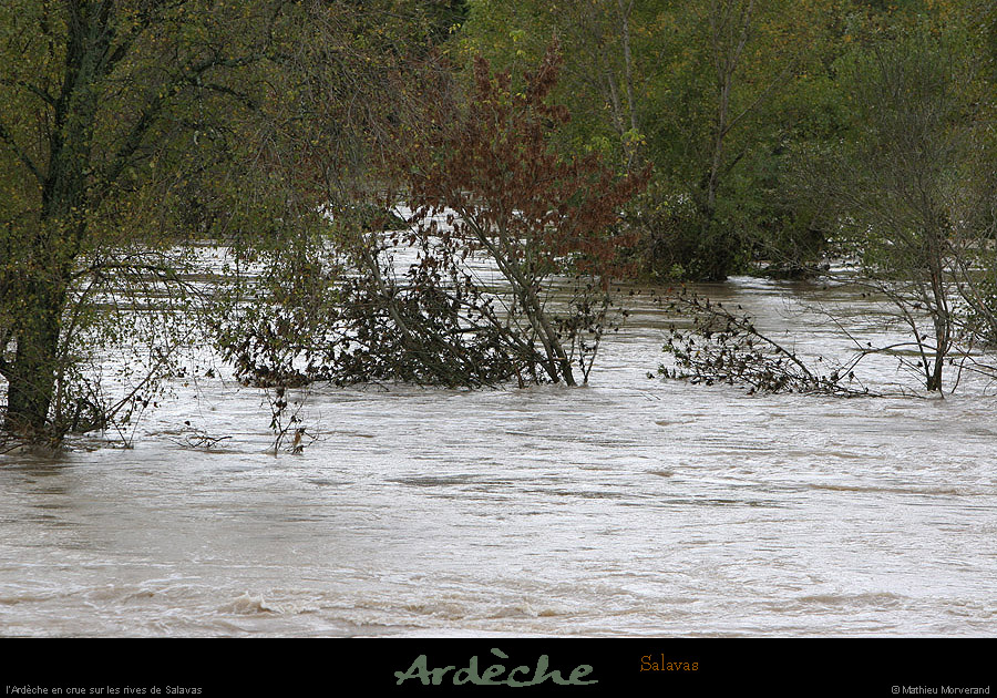 20081022_salavasrd