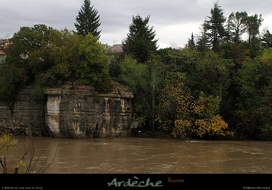 20111105_crue_ruoms_savel1