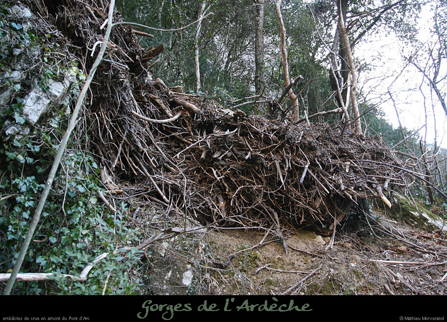 20120205_amptdarc_embaclescrue