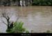 20130518_ardeche_crue_bigournette11
