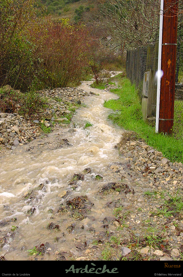 20021124 - ruisseau de la loubière - affluent
