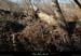 20111228_labeaume_rgamvillage2