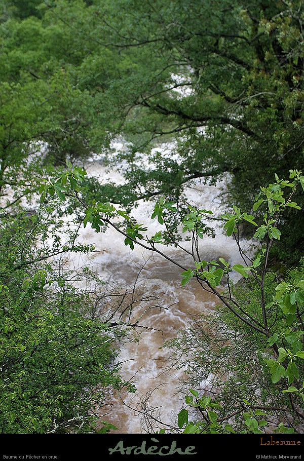 20130518_baumepechercue2