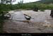 20130518_lignecrue_pduprat2