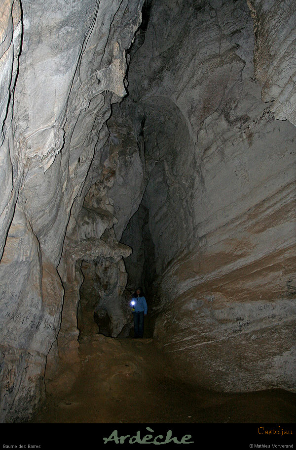 20100110_gorgescasteljau_baumebarres1