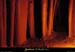 20010107_grottedutrianglebeni_19