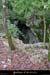 20001126_2avensentree2