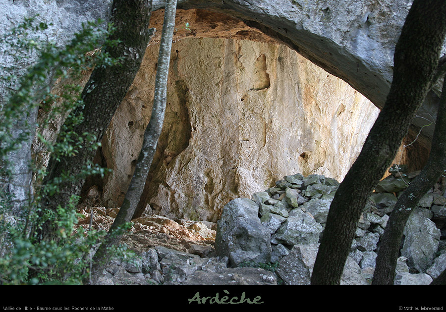20070922_baumearduc1