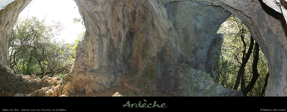 20070922_baumearduc2