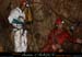 chazot0811_in301