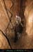 chazot0811_in518
