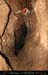 chazot0811_in523