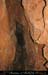 chazot0811_in536