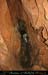 chazot0811_in537