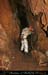 chazot0811_in538